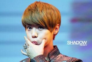 娱乐圈吃瓜鹅鹿晗,娱乐圈吃瓜鹅的蜕变之路